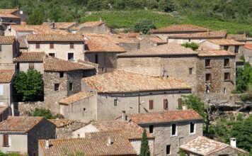 Jakie działanie ma orteza?