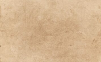 Dlaczego papier toaletowy jest taki drogi? Dlaczego papier toaletowy jest taki drogi?